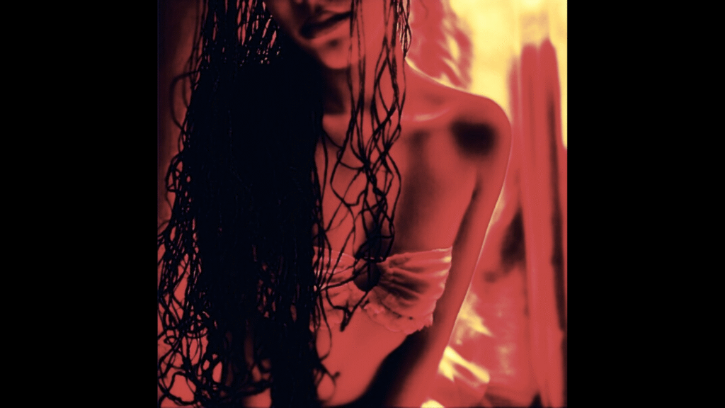 lailo lema cover image